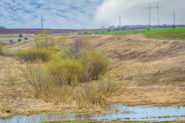 Kendini doğanın güzelliğine, yemyeşil halılarla daldır. Canlı bitki örtüsü aracılığıyla yeni başlangıçların mucizesine tanık olun. Tecrübe bolluğu ve neşe