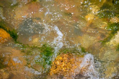 Kendini bu dağ deresinin el değmemiş ıssızlığına daldır. Suyun ritmik dansını deneyimleyin ve karmaşık detaylarına hayran olun. Her taşın üzerindeki ışıldayan ışığı keşfedin.