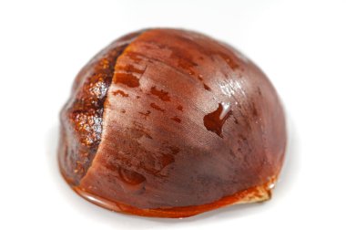 Kestanenin güzel altın tonları çarpıcı detaylarla yakalanır. Boş beyaz tuval doğanın karmaşık ayrıntılarını yakından ortaya koyuyor. Makro fotoğrafçılığın güzelliğini tecrübe edin.