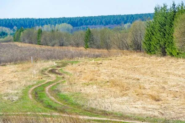 Doğanın ormandaki güzelliğini hisset. Çevrenizdeki değişen mevsimlere ve canlı renklere tanık olun. Dünya uyandıkça gençleşme ve neşe hissini hisset.