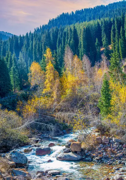 Kendinizi sonbaharın huzurlu güzelliğine daldırın. Parlak ormanların içinden akan berrak bir nehrin dinginliğini hissedin. Tien Shan Dağlarının manzaralarını keşfedin.