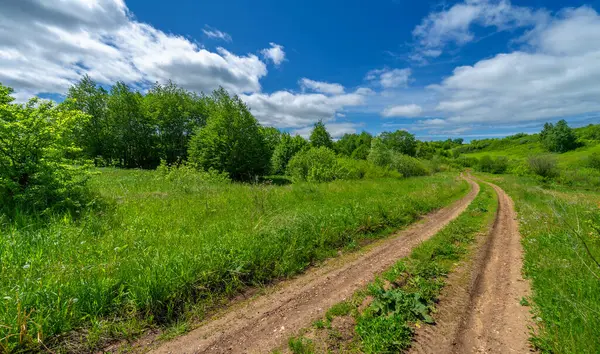 Bahar, manzara, toprak yol ya da yeryüzünün içinden geçtiği yol.