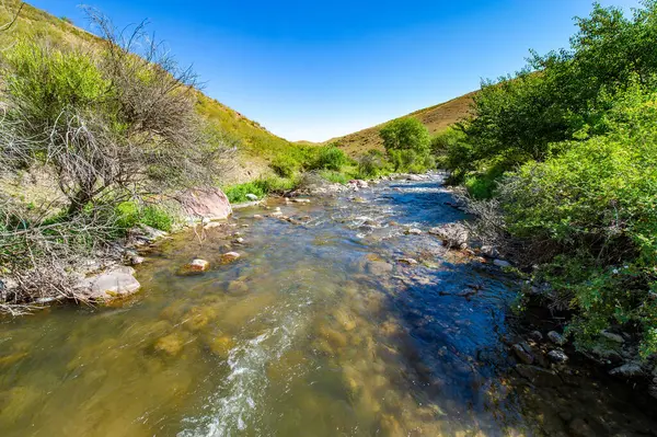 Doğanın güzelliğinin huzurunu hisset. Kayalık kanyonlardan akan nehrin çarpıcı görüntülerini yakalayın. Kendini dağ manzarasının huzurlu atmosferine daldır..