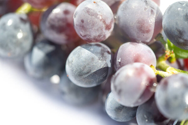 Яркий черный виноград на чистом белом фоне Идеально подходит для винных этикеток или рекламы Сочный и вкусный, готовый к употреблению