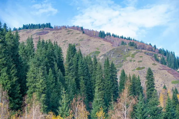 Kendini Tien Shan dağlarının huzurlu güzelliğine daldır. Huş ağaçlarının ve kayalıkların arasından heyecanlı maceralara atılın. Bırak nefes kesici çam ağaçları gezgin şehvetine ilham versin..