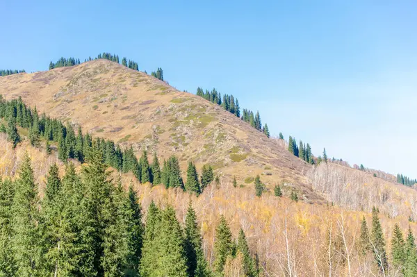 Sonbaharda Tien Shan 'ın nefes kesici güzelliğini tecrübe et. Kendinizi canlı yapraklara ve yeşil çam ağaçlarına daldırın. Günlük hayattan huzurlu ve huzurlu bir ayrılık keşfedin..