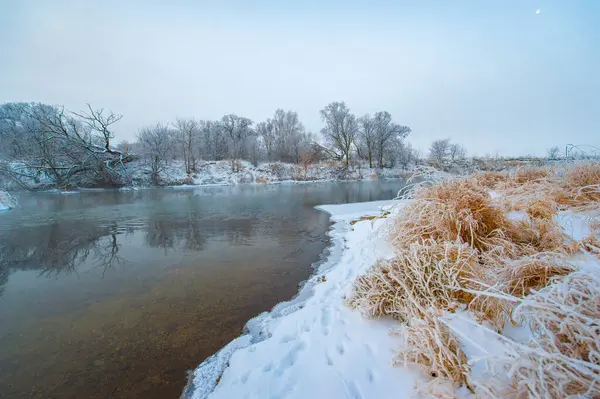 Kış manzarası şaşırtıcı derecede güzel. Altın güneş ışığı huzurlu ve huzurlu bir atmosfer yaratır. Donmuş nehir sükunet ekler..
