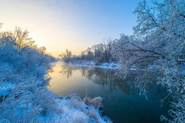 Güneşin doğuşunda doğanın renklerinin muhteşem güzelliğini tecrübe edin. Ilık güneş ışığının buzlu nehri yansıtmasını izleyin. Bu kış sihrinin varlığında bir huzur ve merak hissediyorum..