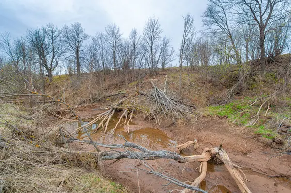Sonsuz tarlaların arasında gizlenmiş büyüleyici bir vahayı keşfet. Gizemli Gölet 'te doğanın serenatını tecrübe et. Kunduz cenneti ve onun vahşi harikalarını keşfedin..