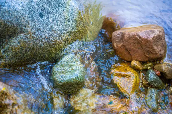 Bir dağ deresinde su. Bir dağ deresinin rahatlatıcı seslerini hisset. Doğanın güzelliğinde huzur ve sükunet bul. Vahşi doğanın arasında bir an için rahatlayın.