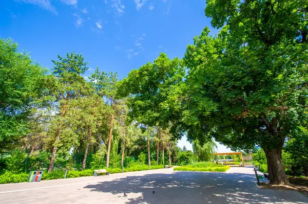 Kendinizi doğanın sükunetine daldırın, bu resim parkında, renkli uzun ağaçlarla süslenmiş. Ve hışırdayan yaprakların rahatlatıcı sesleri senfonin olsun..