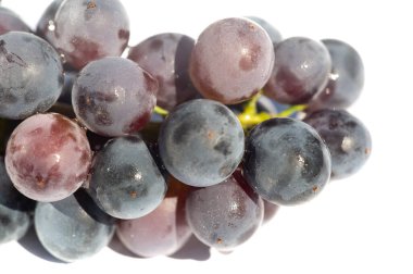 Beyaz arka planda siyah üzümlerin yüksek kaliteli görüntüleri. Şarap etiketleri, reklamlar ve yemek fotoğrafçılığı için ideal. Siyah üzümlerin sulu ve canlı özünü yakalar..