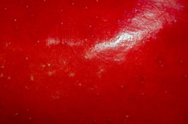 Kandil elma çeşidi, sulu ve vitamin zengini meyveleriyle tanınır. Koleksiyonlarına aromalı elma çeşitliliği eklemek isteyen bahçıvanlar için ideal. Sürecin tadını çıkar