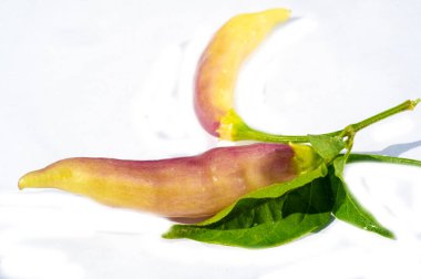 Evde biber yetiştir ve hasat et. Bahçenizdeki eşsiz biberin canlı mor renginin tadını çıkarın. Yemeğinizi taze biberlerle tatlandırın..