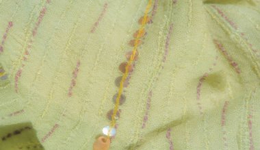 Pembe dikişli, parlak sarı pullu yumuşak yeşil kumaş bulanıklığı. Lüks katlar ve detaylı dokular onu son model tekstil ve dekoratif projeler için ideal hale getiriyor..