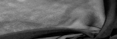 Bulanık, bu tek renkli kumaş görüntüsü yumuşak, gölgeli kıvrımların, karmaşık dokuların ve hassas renklerin güzelliğini yakalar. Tasarım için mükemmel, zarif ve sofistike bir görünüm sunar.