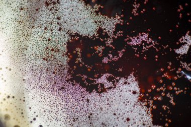 Üstü köpüklü ve altı koyu sıvı köpüklü bir bira bardağının yakın çekimi. Köpüklerdeki kabarcıklar görülebilir, canlandırıcı bir bira deneyimi sunuyor..