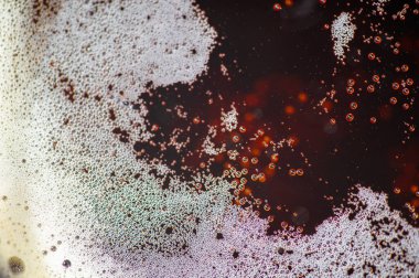 Yüzeye yükselen köpüklü siyah bira ve küçük kabarcıklar. Bu resim biranın köpük ve koyu kehribar rengi arasındaki kontrastı yakalar.