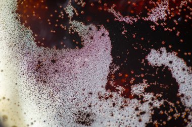 Köpüklü birayla dolu bir bira bardağının ayrıntılı görüntüsü. Köpük hafif ve havadar. Biraları vurguluyor. Doğayı canlandırıyor..