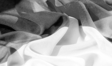 İnce ipek dokusuyla lüks kumaşın zarafetini deneyin. İfade eden siyah ve beyaz tonlarda sofistike bir monokrom paletinin tadını çıkar. Benzersiz ışık kırışıklıklarını takdir ediyorum.