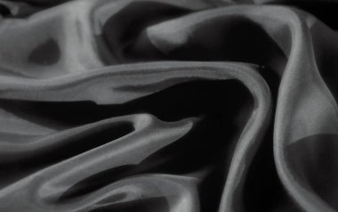 Bu gri tonlu resim yumuşak, akışkan kumaş kıvrımlarına sahip. Yumuşak yüzey ve maddenin dinamik hareketi kendi formunda bir zarafet ve karmaşıklık hissi yaratır.