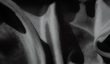 Kumaş kıvrımlarının karmaşık akışı bu monokromatik görüntüde yer alıyor. Yumuşak doku ve pürüzsüz perdeler, ışık ve karanlığın etkileşimiyle vurgulanan zarif bir desen oluşturur..