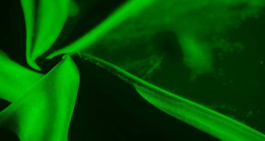Hareketli yeşil bir kumaşın yakın plan çekimi. Akan kıvrımlar soyut ve zarif bir doku yaratıyor. Işığın yansıması, yaratıcılık için mükemmel olan materyalin derinliğini ve hareketini arttırır.