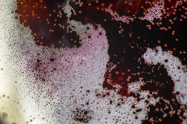 Köpüklü birayla dolu bir bira bardağının ayrıntılı görüntüsü. Köpük hafif ve havadar. Biraları vurguluyor. Doğayı canlandırıyor..