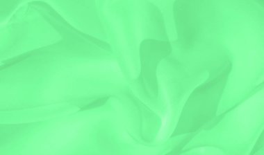 Pürüzsüz kıvrımları ve kıvrımları olan bulanık yeşil kumaş sakin ve akıcı bir etki yaratır. Yumuşak dokusu ve minimalist tasarımı görüntünün modern ve dingin estetiğine katkıda bulunur..