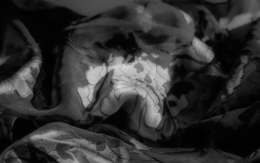 Bulanık efekt, bu tek renkli kumaş üzerindeki hassas çiçek elementlerine dikkat çeker. Gölge ve ışık arasındaki zarif etkileşim derinlik ekler, çiçek deseni ise odak noktası olarak kalır..