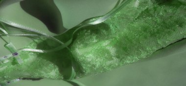 Karmaşık altıgen desenleri ve parlak dokusu olan yeşil dantel kumaştan bulanık bir yakın plan. Bu detaylı tekstil resmi, süsleme boyunca küçük mor süslemeleri olan zarif bir tasarım sergiler..