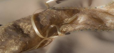 Işıldayan altın dantel ve ince değerli taş aksanlarıyla bej kumaşın yumuşak kıvrımlarını bulanıklaştır. Bu lüks doku, sofistike ve akışkan bir tasarımla birleşir..