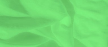 Yumuşak kıvrımlı yeşil saten kumaş ve narin ışıkla güçlendirilmiş düz dokular. Soyut tasarım ve nazik akış arka plan veya tasarım unsurları için görsel olarak sakinleştirici bir tekstil ideali oluşturur..