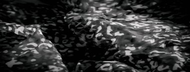 Doğaya benzeyen organik şekilli siyah beyaz kumaş bulanıklığı. Hassas tekstil yumuşak, akıcı bir görünüm yaratıyor koyu ve açık renkli alanlarla koyu bir kontrast oluşturuyor..