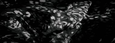 Soyut ışık bulanıklığı ve yumuşak, akışkan kumaş üzerindeki koyu desenler. Hassas kıvrımlar, ışık ve gölge oyunlarını yakalayan karmaşık tasarım elementleriyle dinamik bir hareket hissi yaratır..