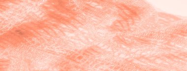 Işıldayan mercan dantelli kumaş bulanıklığı zarif ve detaylı bir dokuma sergiliyor. Kumaş üzerinde karmaşık desenler ve yumuşak ışık oyunu onun hassas ve karmaşık tasarımını vurguluyor..