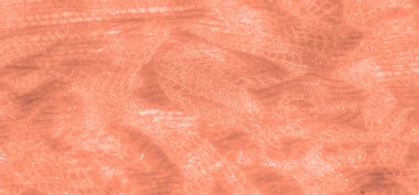 Işıldayan ve karmaşık dokuma desenleri olan narin şeftali rengi dantel kumaş bulanıklığı. Yumuşak doku ve ışıldayan yüzey şık tekstil tasarımları için ideal zarif ve sofistike hissi arttırır..