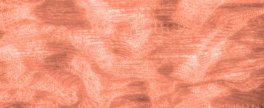 Hassas desenleri ve parıldayan bir yüzeyi olan karışık örülmüş şeftali rengi kumaş bulanıklığı. Kumaşın narin ve zarif dokusu her yumuşak ve kadınsı tasarıma sofistike bir dokunuş katar..