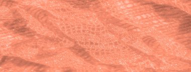 Görüntü pırıl pırıl şeftali dantelli kumaş. Karmaşık bir tasarımı var. Işığı yansıtıyor ve lüks, yumuşak bir doku oluşturuyor. Hassas, şeffaf malzeme, zarafetini ve ayrıntılı kalıbını arttırır..