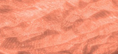 Şeftali renginde ince dokuma ve zarif tasarımlarla bulanık, narin bir dantel. Kumaş ışığı farklı açılardan yakalar ve kompozisyona ışıldayan bir etki ve yumuşaklık ekler..