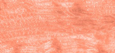 Işıldayan ağ tasarımlı şeftali dantelli kumaş bulanıklığı ince iplikler ve ışık yakalayan dokularla zarif ve sofistike bir görünüm yaratıyor. Materyalin yumuşaklığı vurgulanıyor..