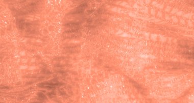 Yumuşak şeftali dantelli kumaşın bulanık yakın çekimi, parıldayan detaylar ve karmaşık tasarım. Kumaşın ince dokusu ve romantik estetiği onu zarif moda ve dekor için ideal kılıyor..