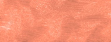 Şeftali dantelli bulanık kumaş. Yumuşak, şeffaf bir tasarım. Karmaşık bir ağ deseni ve ince parlak gölgeler..