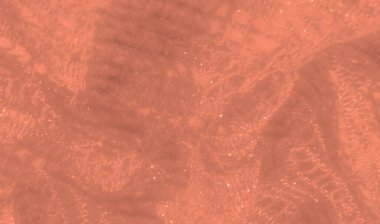 Hassas şeftali rengi kumaş bulanıklığı. Karmaşık deseni ve ince parıltısıyla. İnce ağ tasarımı lüks bir his yaratırken, yumuşak ışıklandırma genel görünümü geliştiriyor..