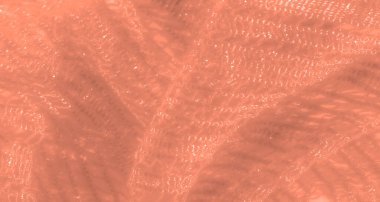 Şeftali dantelli bulanık kumaş, ince parıldayan doku ve karmaşık desenler. Kumaşın yumuşak kıvrımları hafif ışıkla aydınlatılıyor, lüks ve zarif bir görünüm yaratıyor..