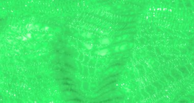 Yumuşak yeşil dantelli kumaş. Karmaşık, ışık yakalayan desenler ve doğal akışkan hassas dokular. Bu da ruhani ve sofistike bir tekstil tasarımını çağrıştırıyor..