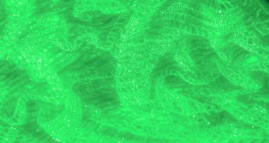 Yumuşak yeşil dantelli kumaş, narin dokular ve parlak detaylar. Parlak ve ruhani bir görünüm yaratıyor. Karmaşık desenlerini ve akışkan hareketlerini vurguluyor..