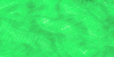 Parlak kenarları ve yumuşak, karmaşık desenleri olan bulanık yeşil dantel kumaş. Moda tasarımları veya tekstil dekorasyonu için ideal. Yumuşak dokusu, güzel parıldayan detaylarını tamamlıyor..