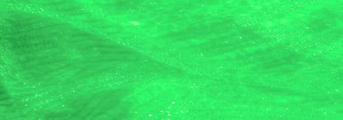 Işıldayan, detaylı desenleri olan narin yeşil dantel kumaş bulanıklığı. Akan dokular ve şeffaf katmanlar kumaşları vurgular karmaşık, canlı tasarım ve ruhani kalite.