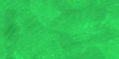 İnce, parıldayan ipliklerle karışık yeşil dantelli kumaş akışkan, katmanlı bir doku yaratıyor. Yumuşak kıvrımlar ve ışık yansımaları ince ayrıntıları vurgular, soyut bir